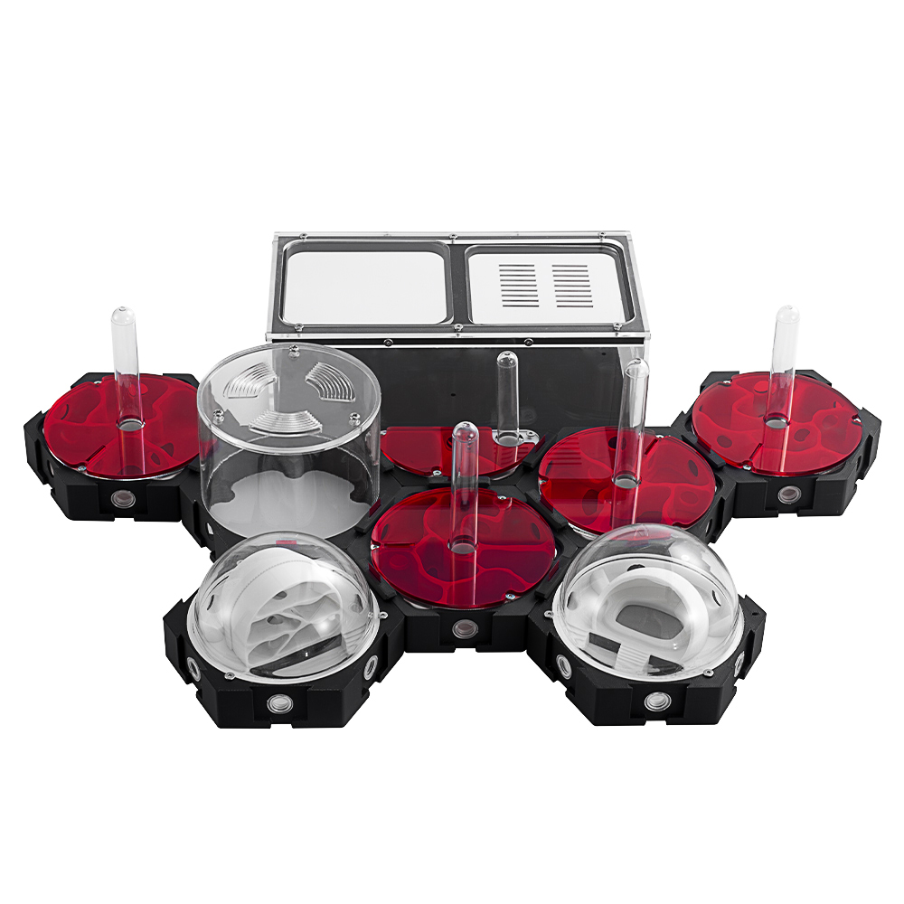 Begonia Rex - 3D Printing Ant Farm Infinitely Expandable
