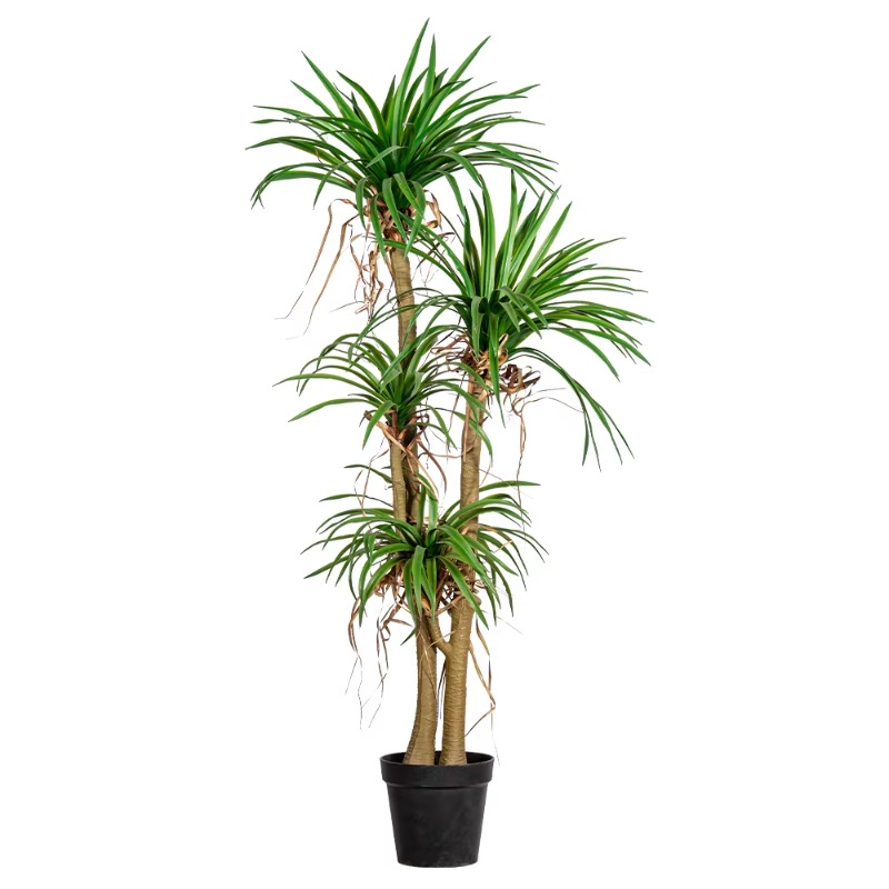 Dracaena Marginata - Indoor/Outdoor Home Tree Simulated Dracaena Marginata