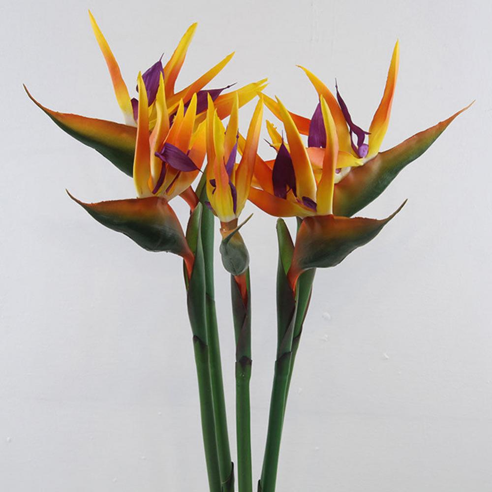 Bird Paradise Strelitzia - 1pc 80cm Flower Bird Of Paradise