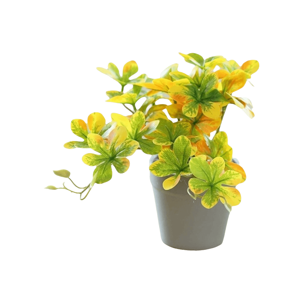 Spider Plant Hanging - Bonsai Artificial Bonsai Plant Artificial Spider