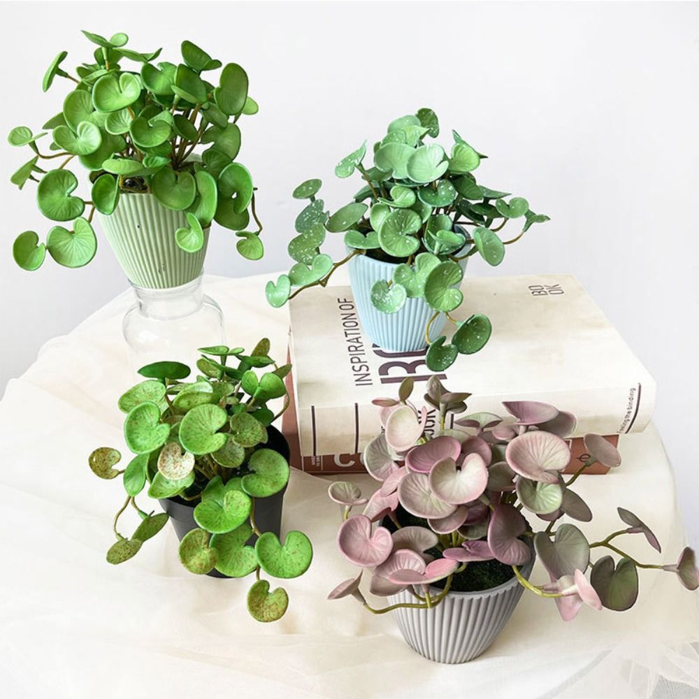 Echeveria Succulent - Soft Glue Artificial Plant EVA Green