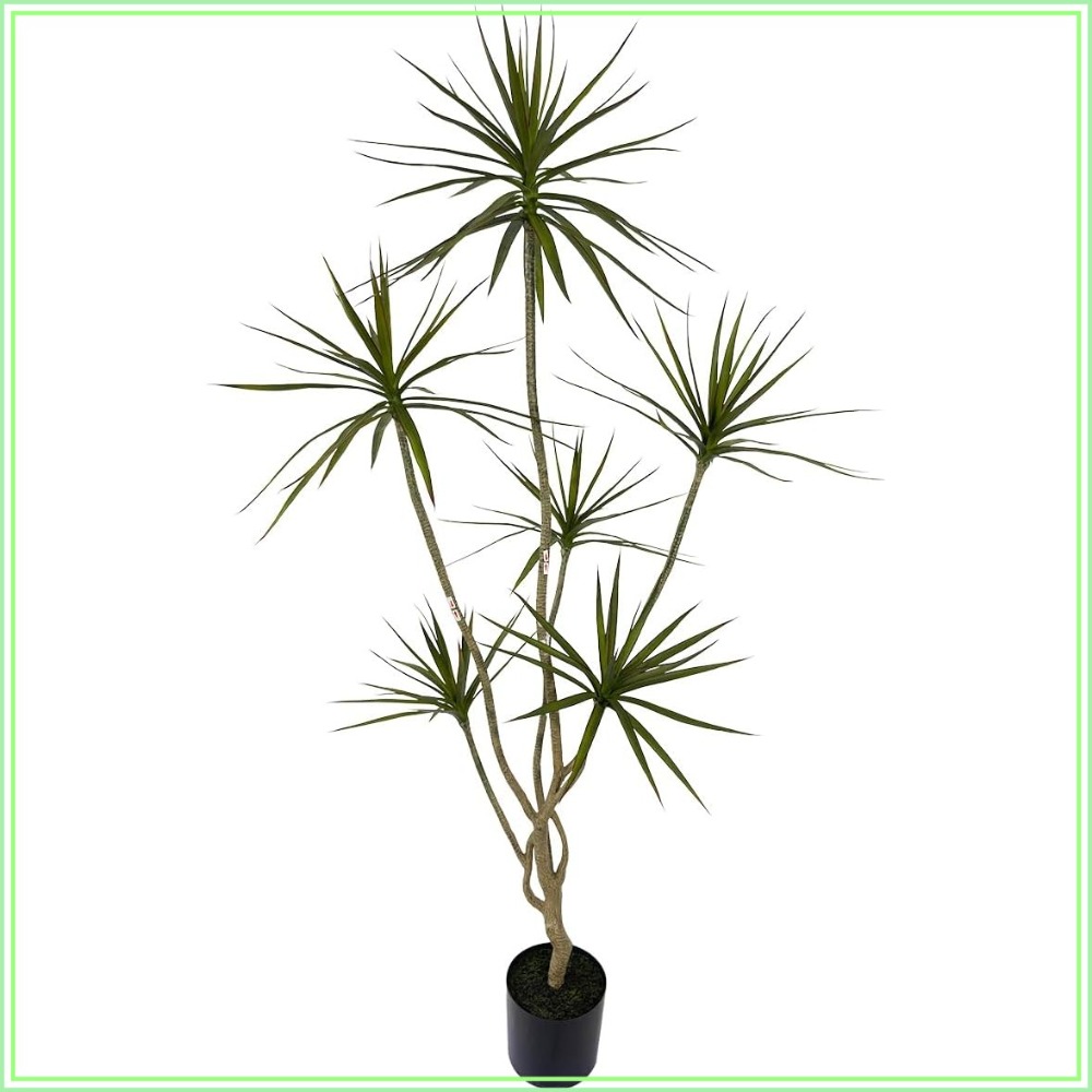 Dracaena Marginata - 6ft Tall Artificial Dracaena Marginata Tree,