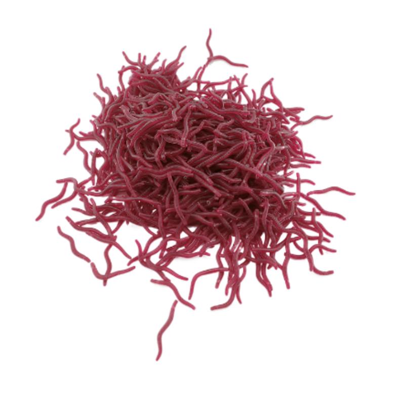 Aglaonema Red - 100PCS Soft Lure Bass Bream Bloodworm