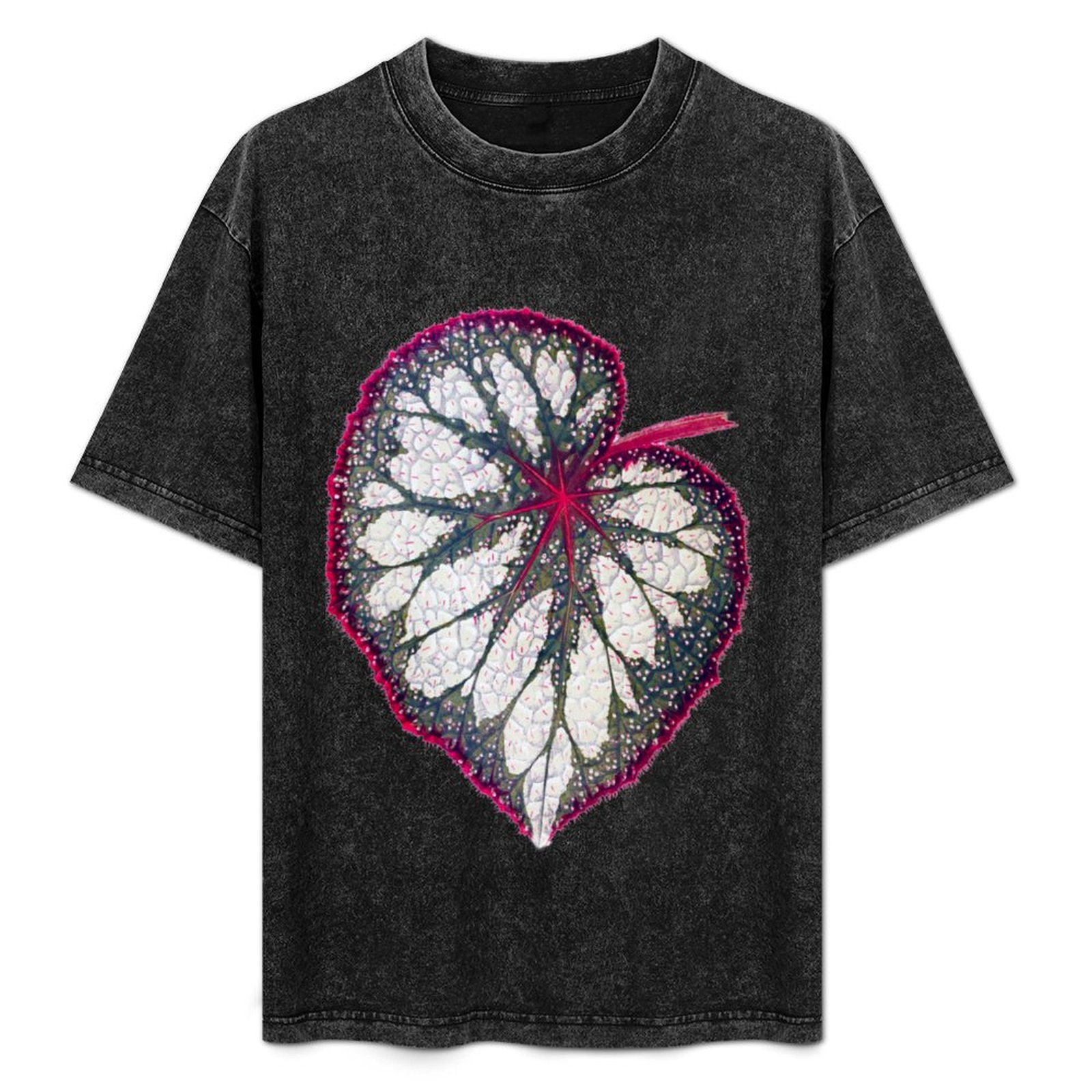 Begonia Rex - Begonia rex T-Shirt Holiday Simple Tee