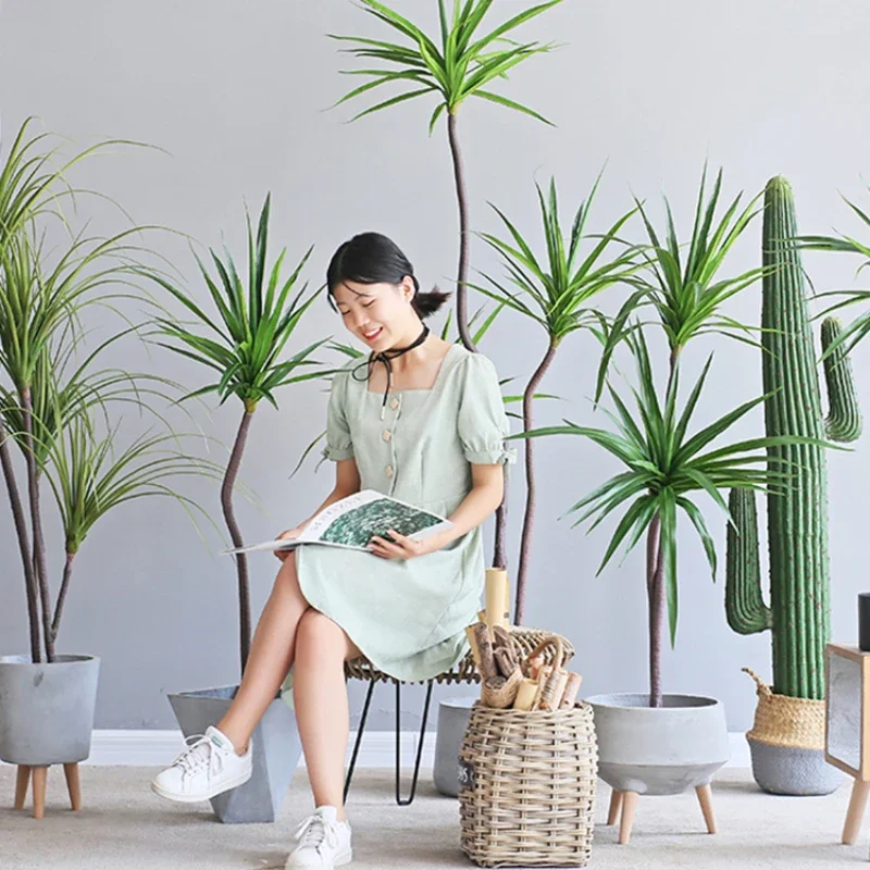 Dracaena Marginata - Simulation Plant Dracaena Marginata Dracaena Sago