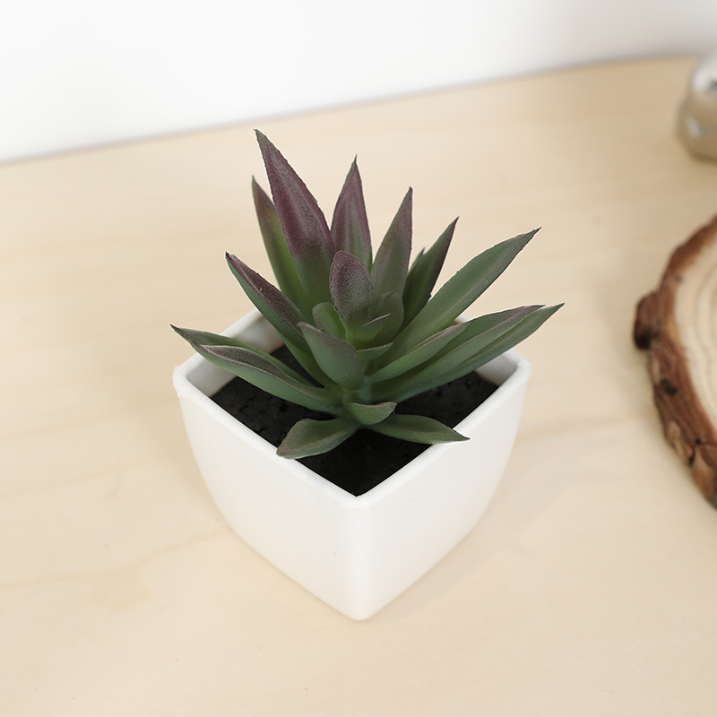 Echeveria Succulent - Mini Artificial Succulent Fairy Cup Small
