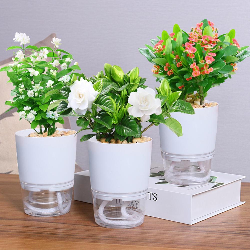 Aloe Vera Pot - Self Watering Plastic Flower Pot 3