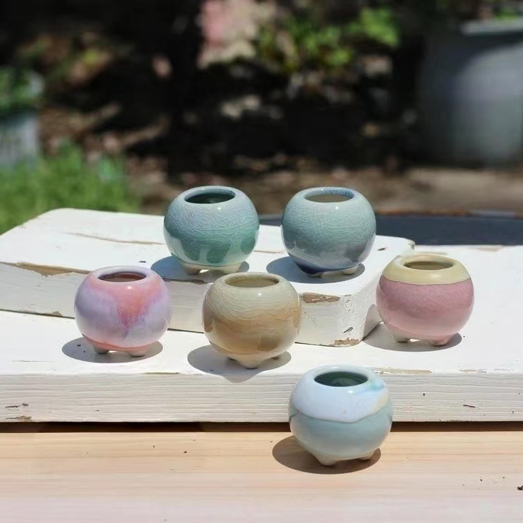 Echeveria Succulent - 6Pcs Mini Flowerpot Succulents Small Succulent