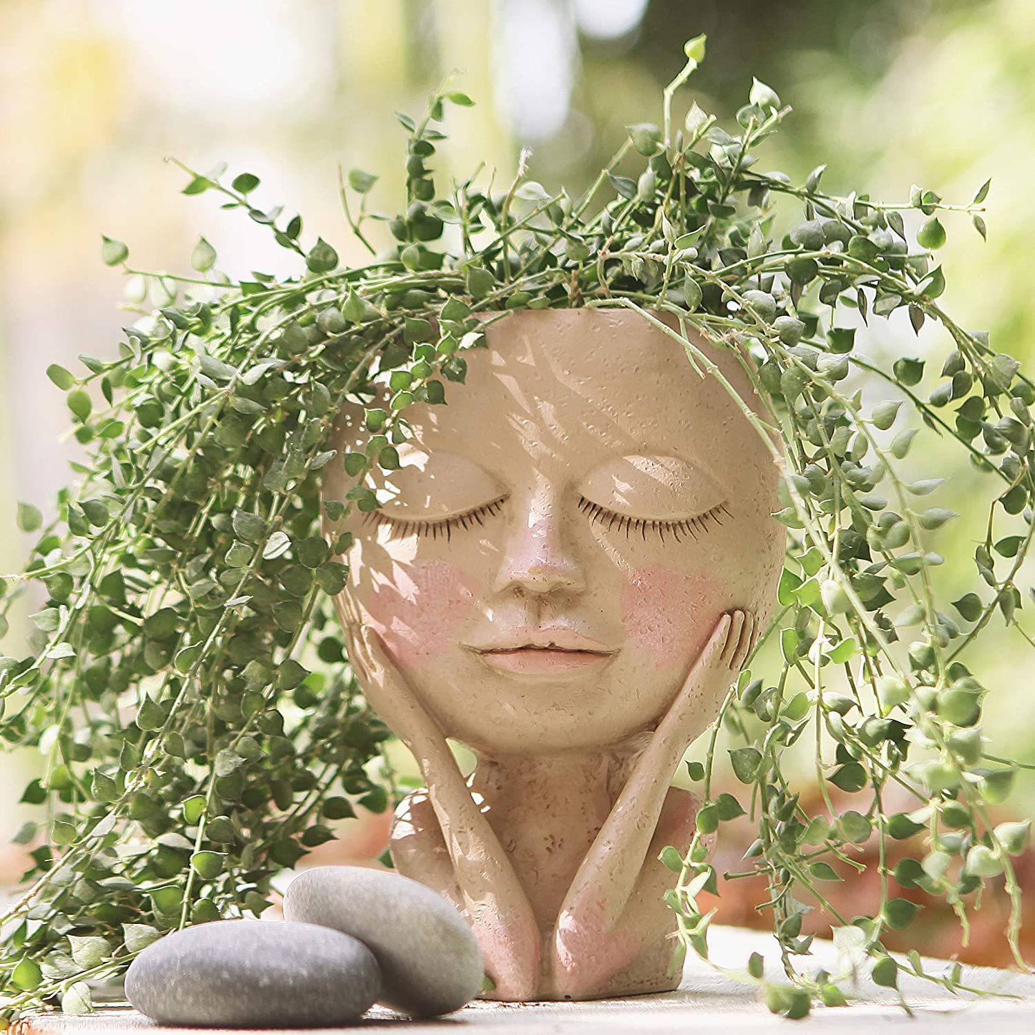 Echeveria Succulent - Girls Face Head Flower Planter,Succulent Plant
