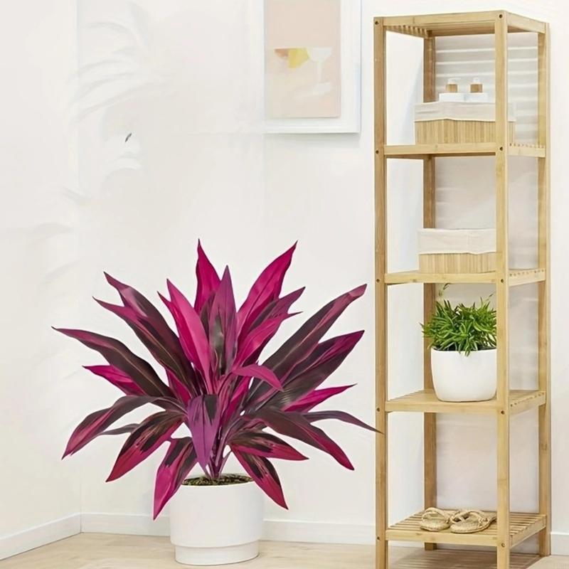 60cm Tall Artificial Dracaena  - огляд і ціна Dracaena Marginata