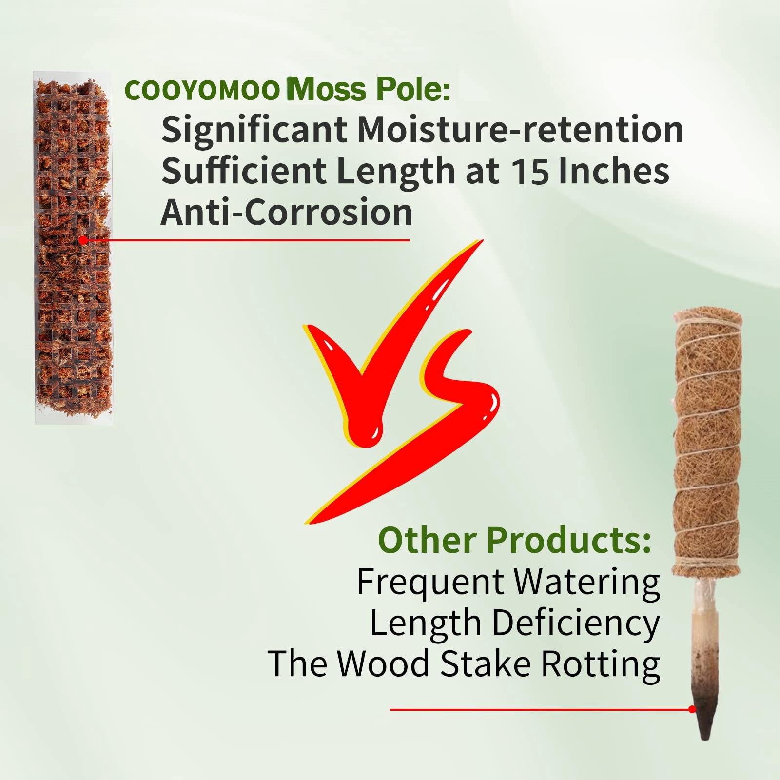 Moss Poles Plants Plant Suppor - огляд і ціна Echeveria Succulent
