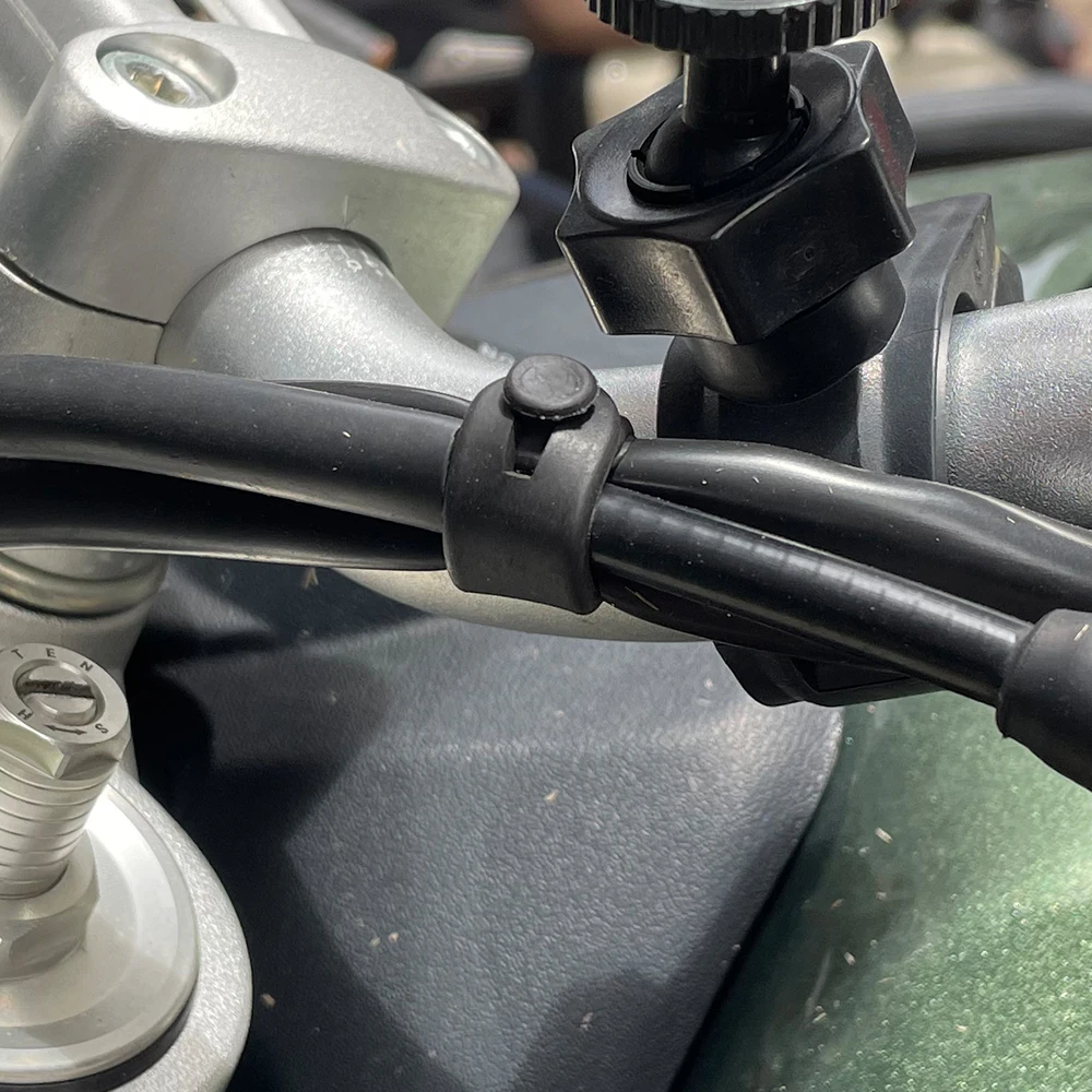 For Ducati Monster Multistrada - огляд і ціна Monstera Adansonii