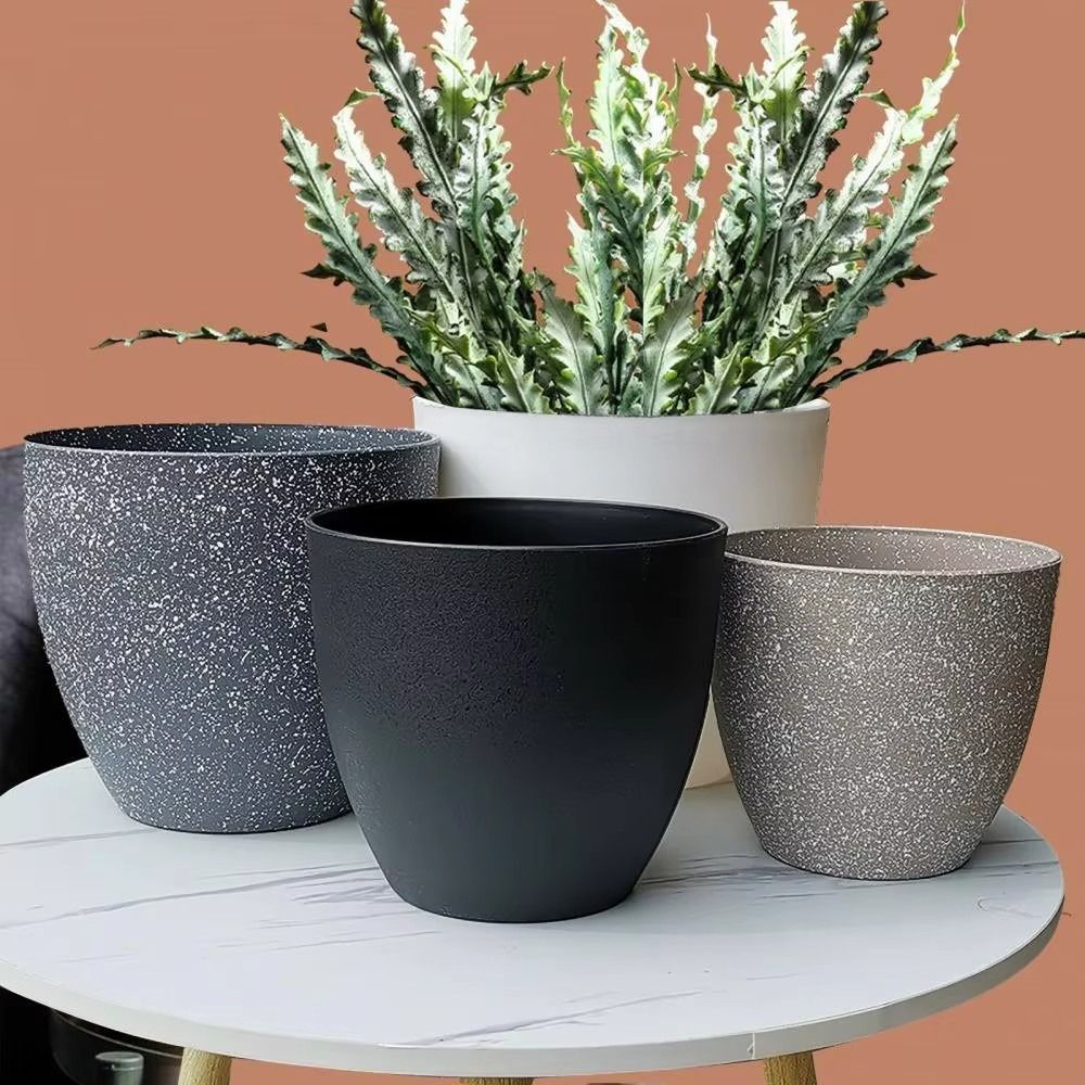Frosted Imitation Stone Bonsai - огляд і ціна Aloe Vera Pot