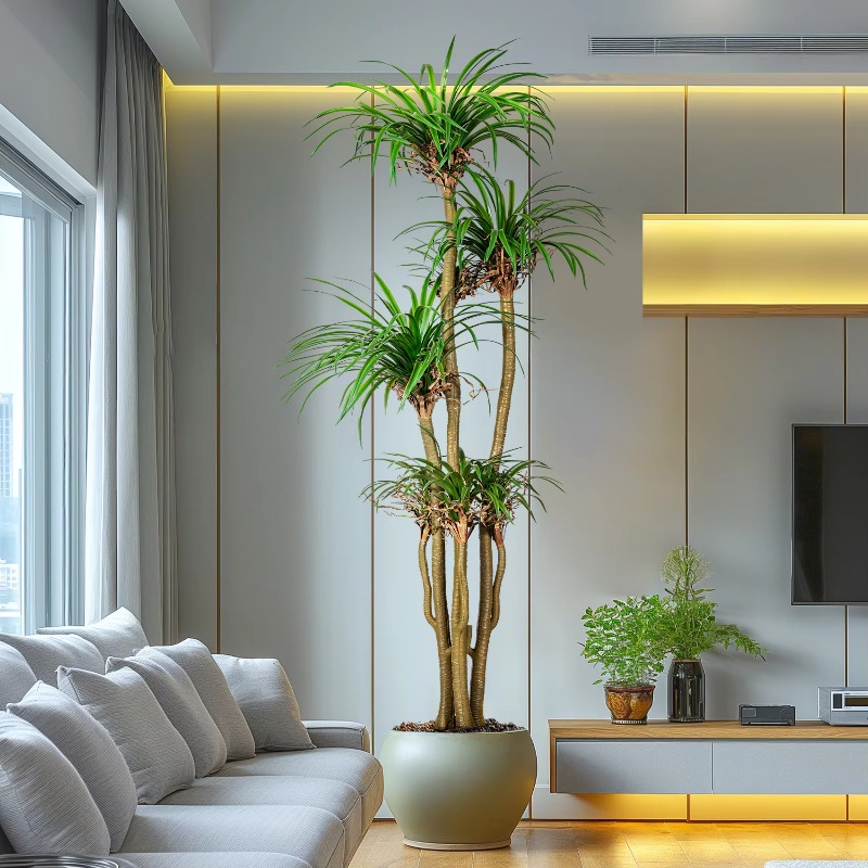 Indoor/Outdoor Home Tree Simul - огляд і ціна Dracaena Marginata
