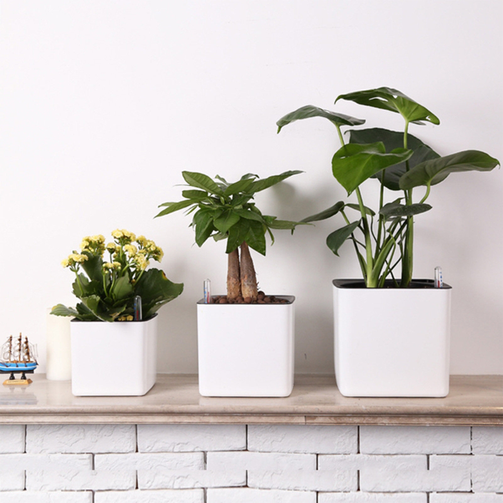 Automatic Self Watering Flower - огляд і ціна Aloe Vera Pot