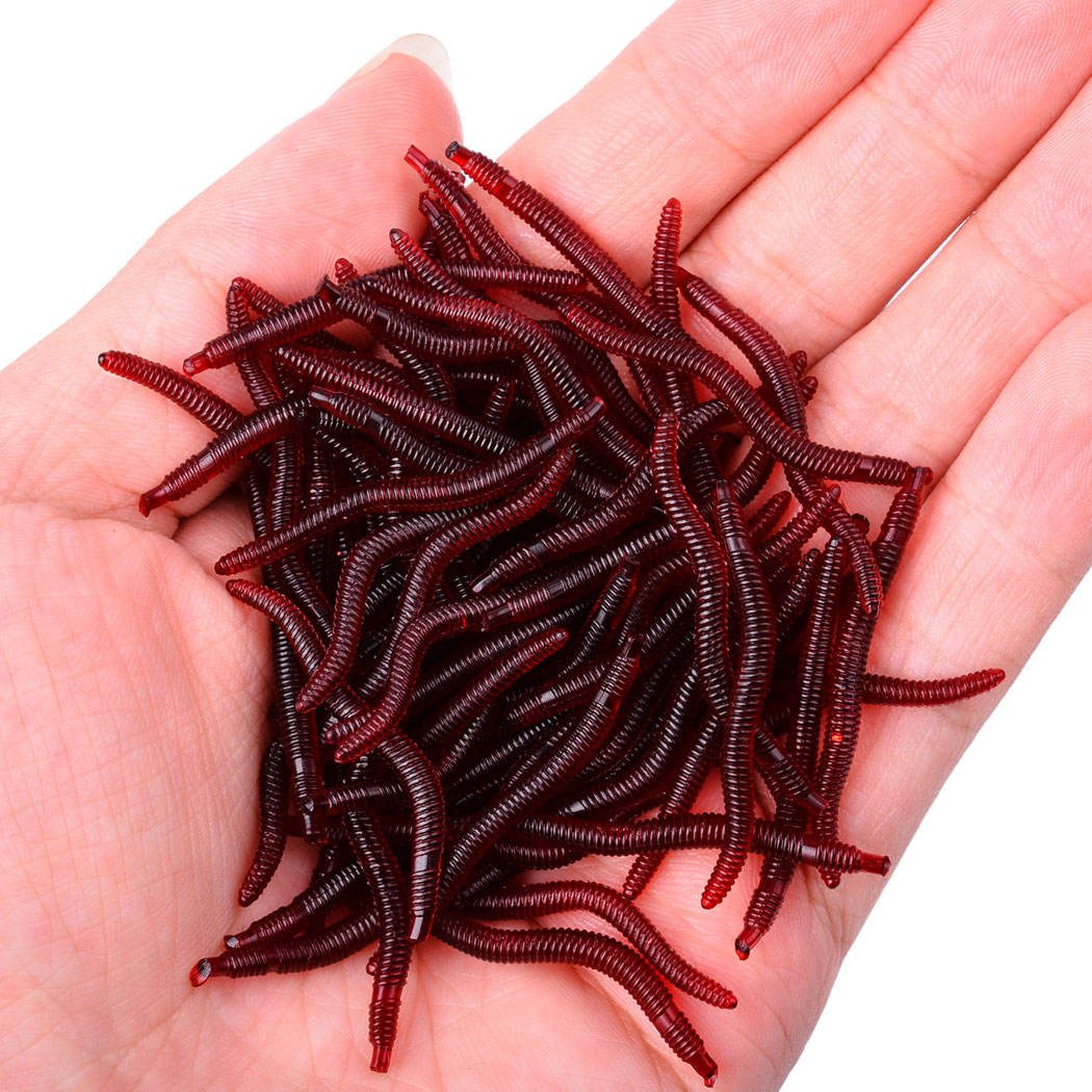 50pcs Lifelike Red Worm Soft L - огляд і ціна Aglaonema Red