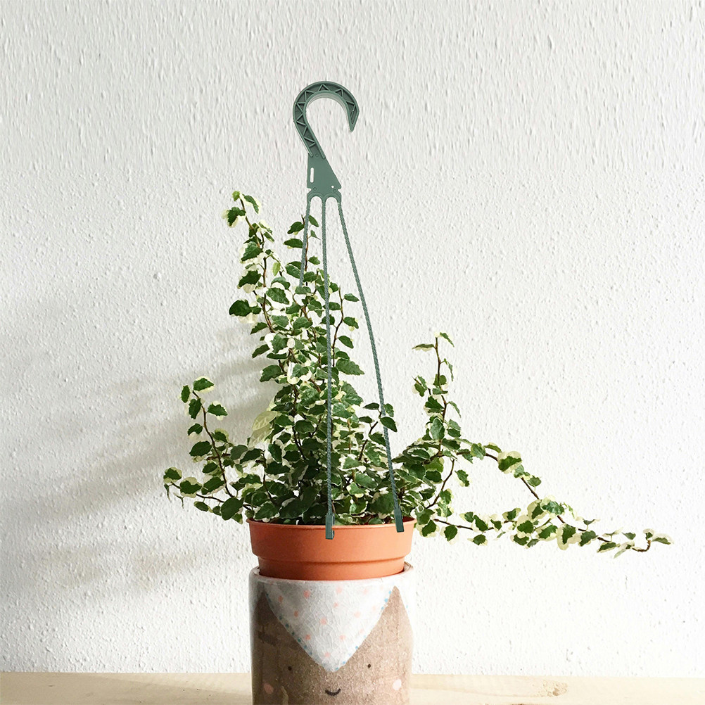 5Pcs Hanging Planter Hooks Set - огляд і ціна Spider Plant Hanging