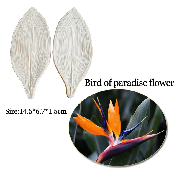Large Gumpaste Strelitzia Bird - огляд і ціна Bird Paradise Strelitzia