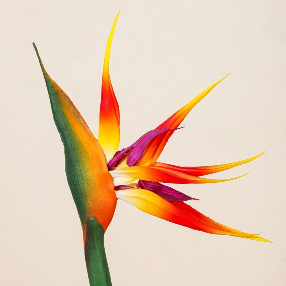 New Long Stem Artificial Bird  - огляд і ціна Bird Paradise Strelitzia
