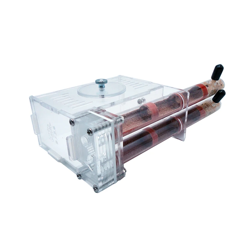 DIY Ant Farm 2 pcs 18-180mm Gy - огляд і ціна Begonia Rex