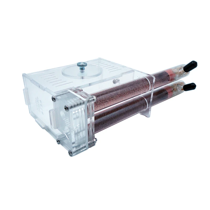 DIY Ant Farm 2 pcs 18-180mm Gy - огляд і ціна Begonia Rex