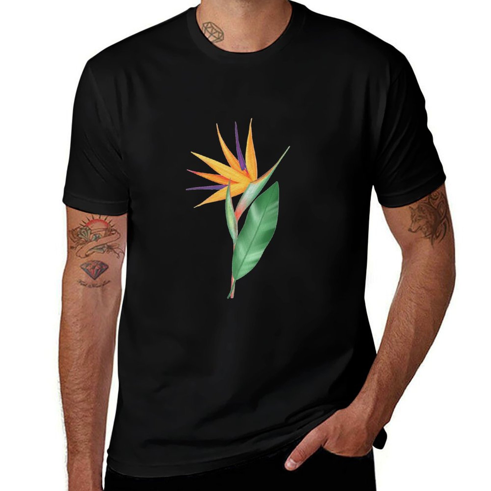 Watercolor bird of paradise fl - огляд і ціна Bird Paradise Strelitzia