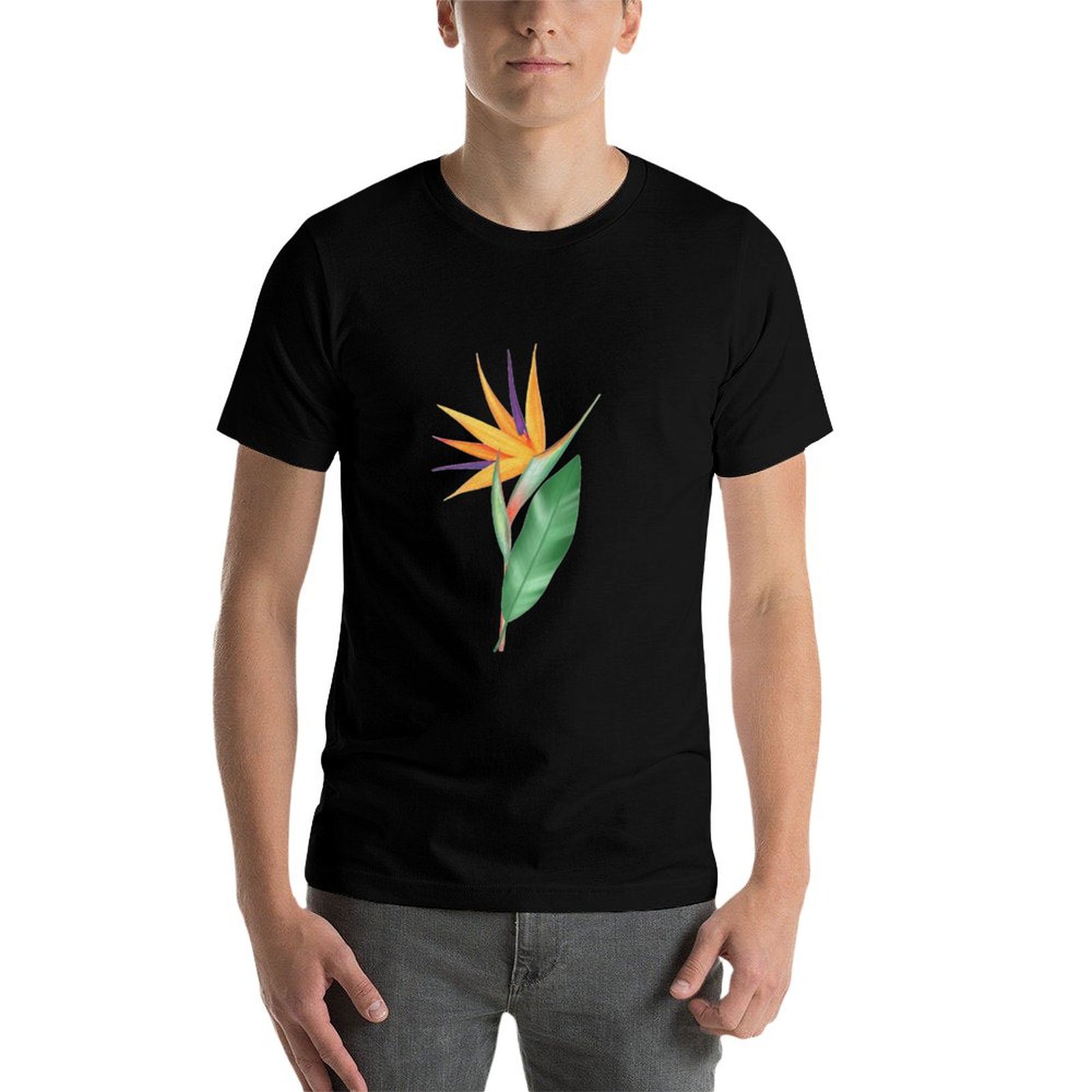 Watercolor bird of paradise fl - огляд і ціна Bird Paradise Strelitzia