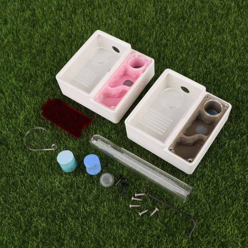 1Pcs Ant Farm Queen Ant's Nest - огляд і ціна Begonia Rex