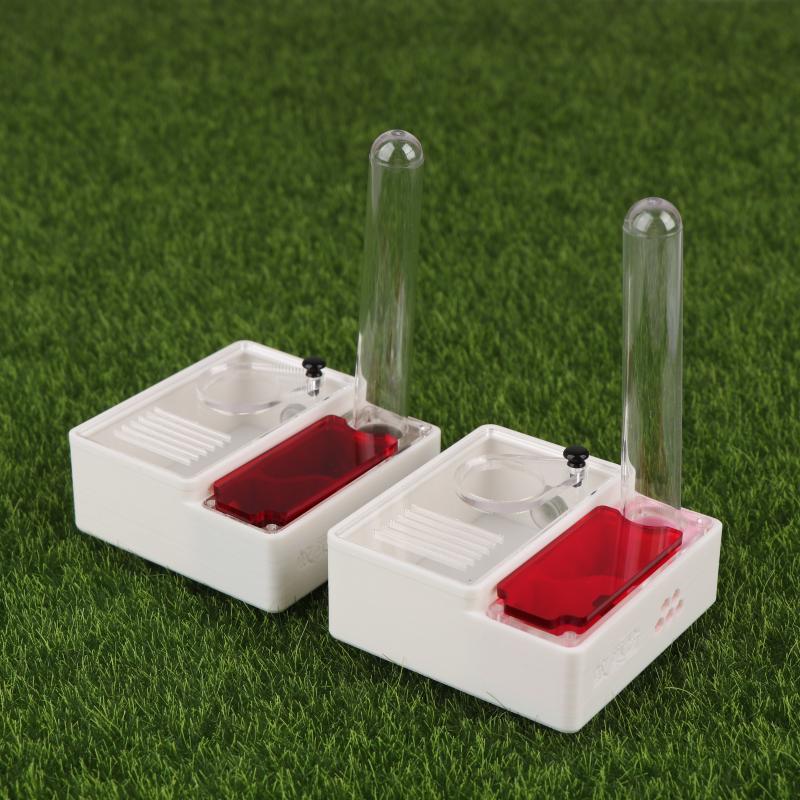 1Pcs Ant Farm Queen Ant's Nest - огляд і ціна Begonia Rex