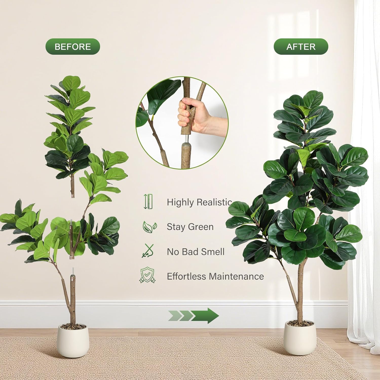 4-7 FT Fiddle Leaf Fig Tree Ar - огляд і ціна Ficus Lyrata Tree
