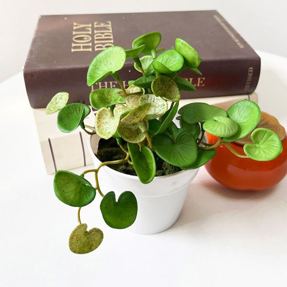 Soft Glue Artificial Plant EVA - огляд і ціна Echeveria Succulent