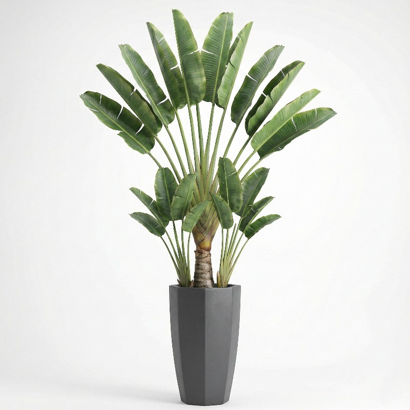 High-Simulation Plastic Fiddle - огляд і ціна Ficus Lyrata Tree