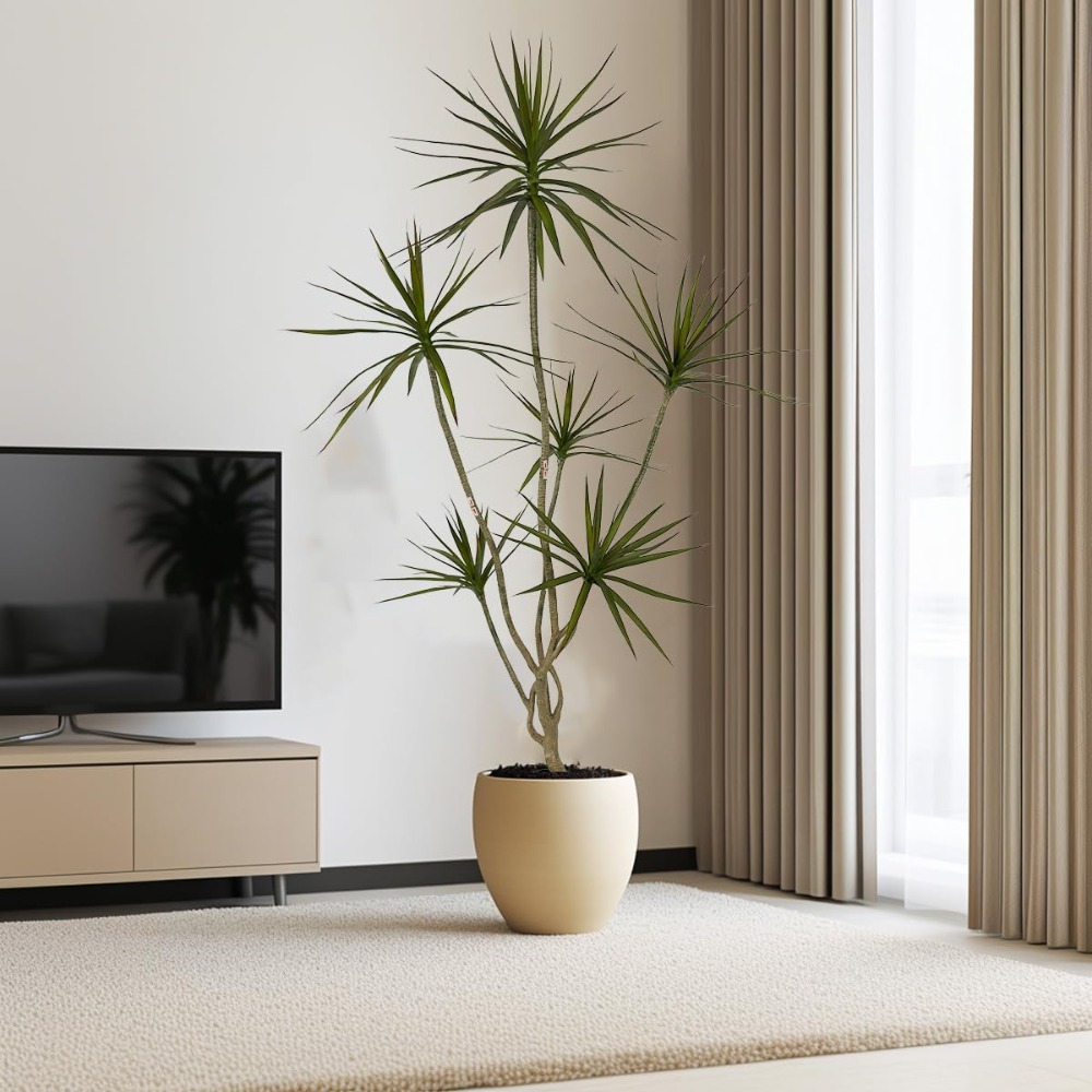 6ft Tall Artificial Dracaena M - огляд і ціна Dracaena Marginata