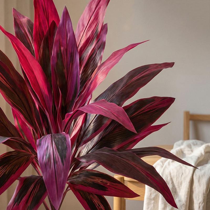 Large Artificial Dracaena Marg - огляд і ціна Dracaena Marginata