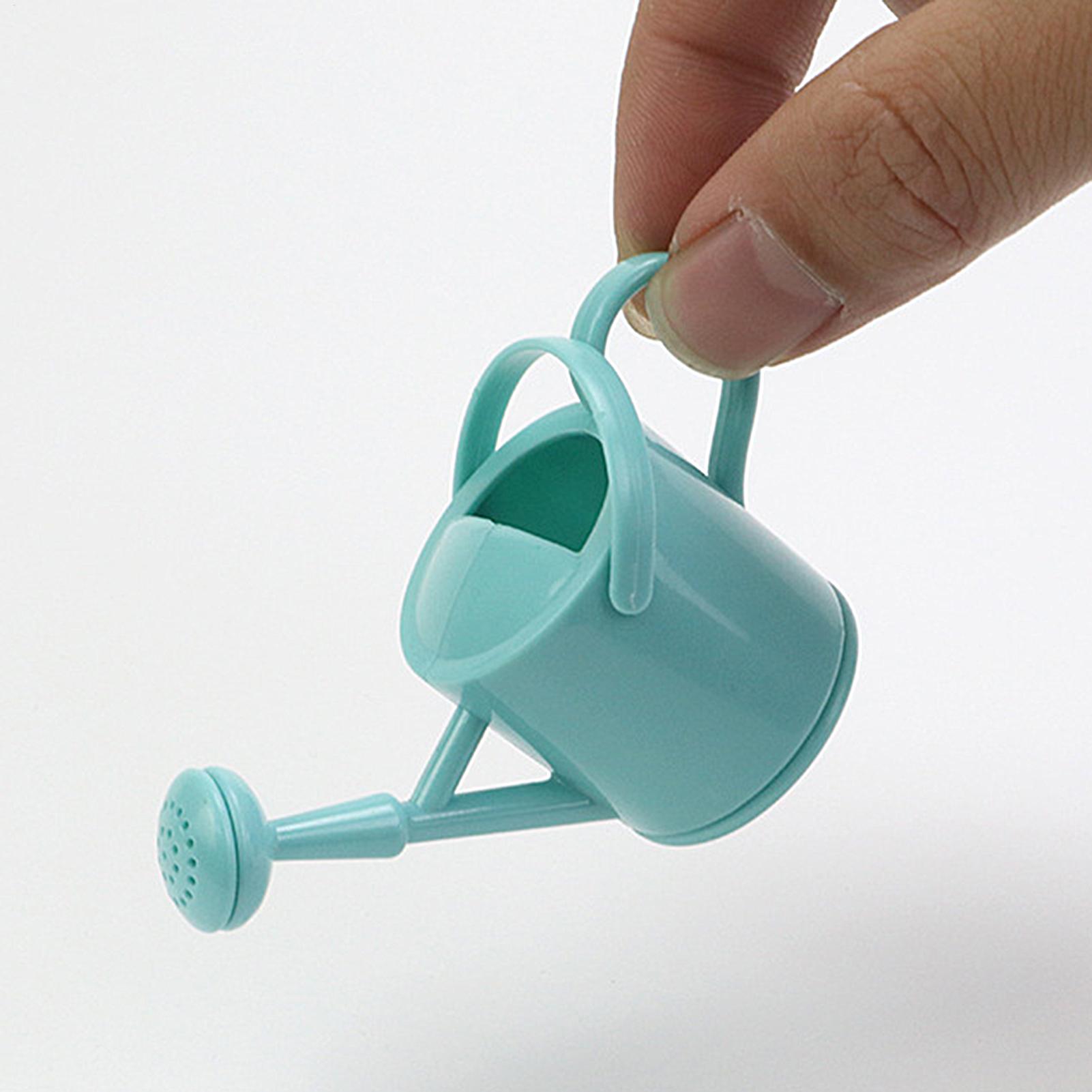 Small Kids Watering Can Flexib - огляд і ціна Echeveria Succulent