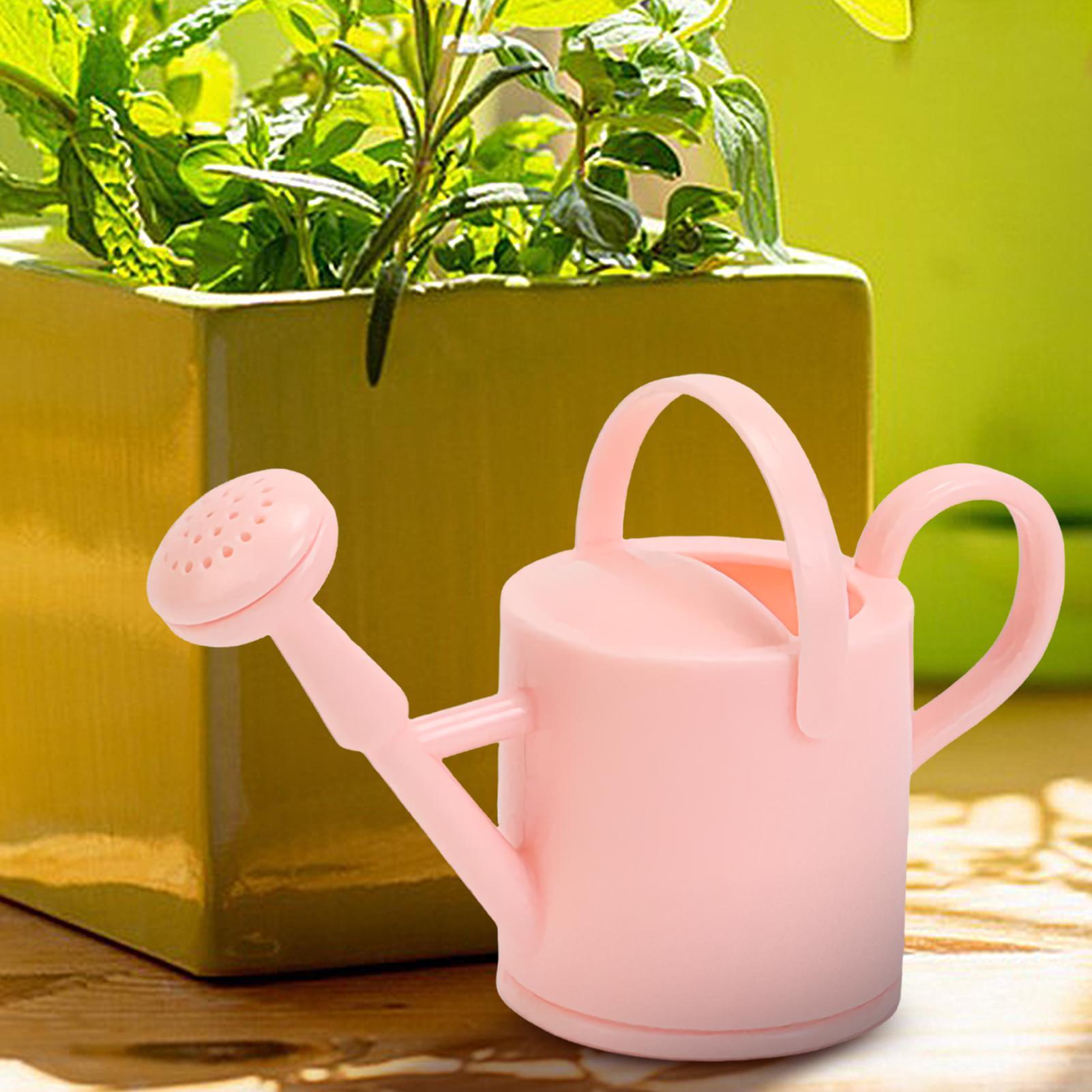 Small Kids Watering Can Flexib - огляд і ціна Echeveria Succulent