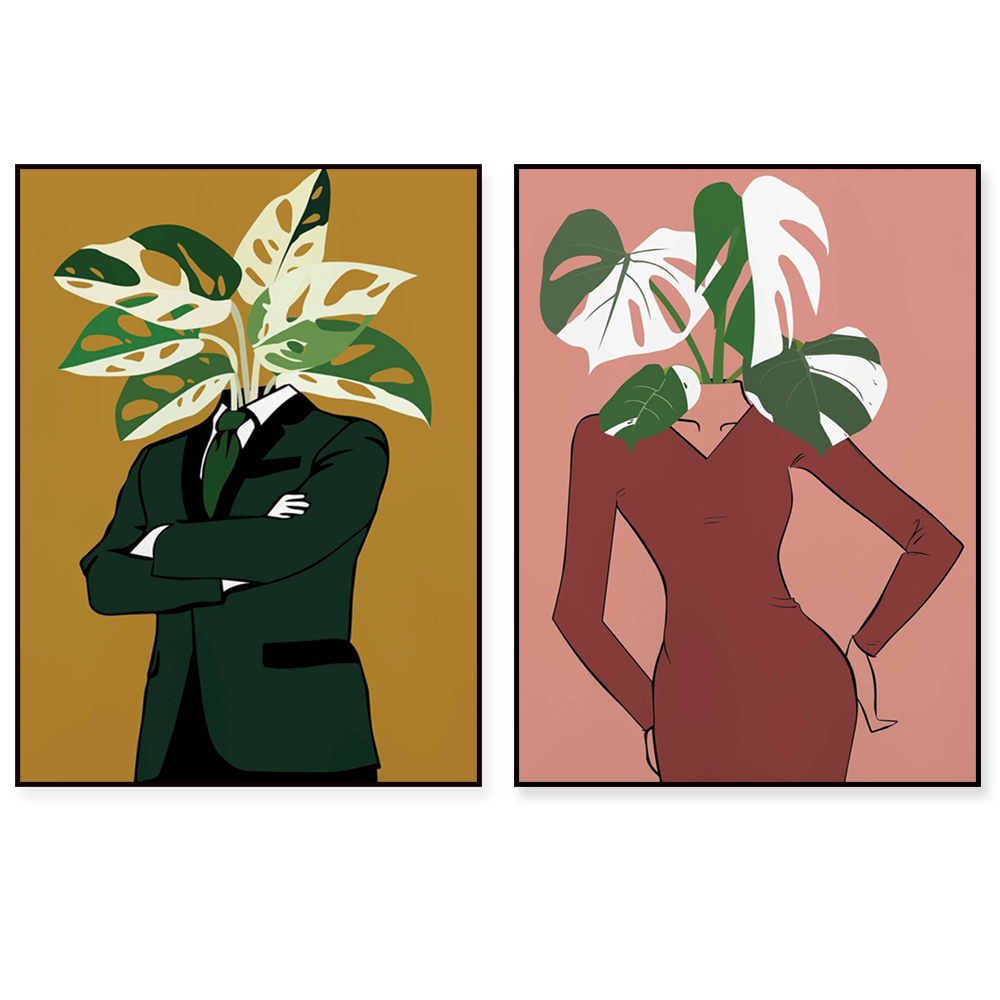 Monstera Albo in a burgundy dr - огляд і ціна Monstera Adansonii