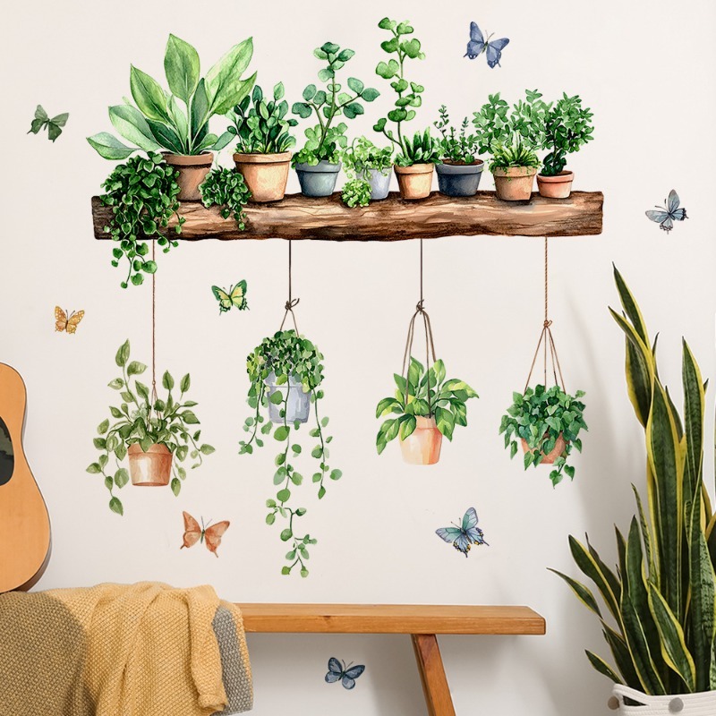 3D Potted Green Plant Shelf Wa - огляд і ціна Echeveria Succulent