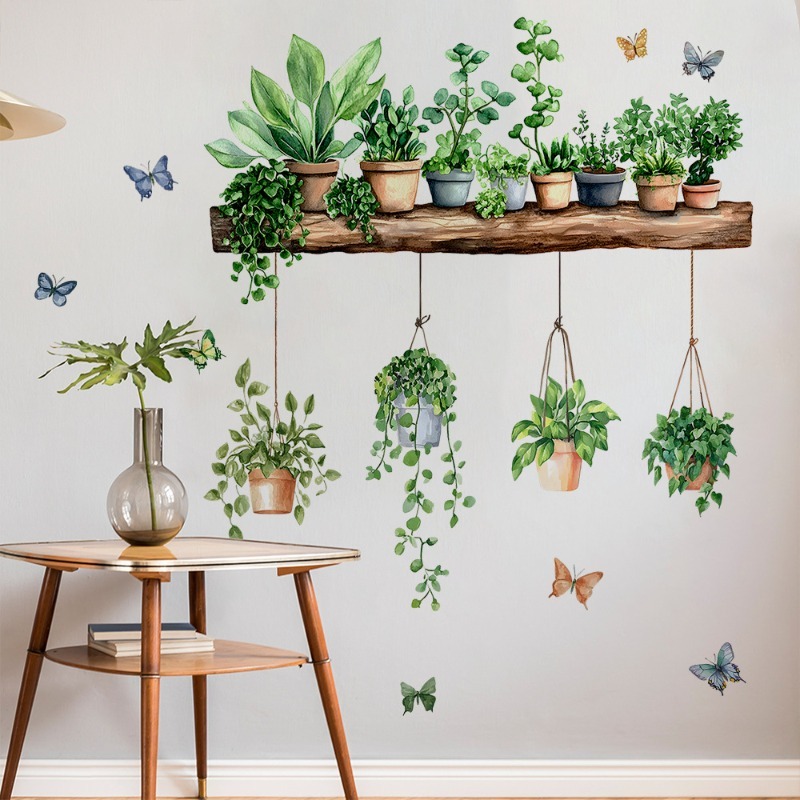 3D Potted Green Plant Shelf Wa - огляд і ціна Echeveria Succulent