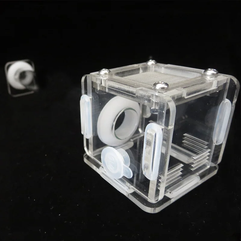 DIY Various Size Ant Farm Bamb - огляд і ціна Begonia Rex