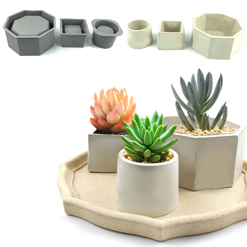 Handmade Succulent Planter Flo - огляд і ціна Echeveria Succulent