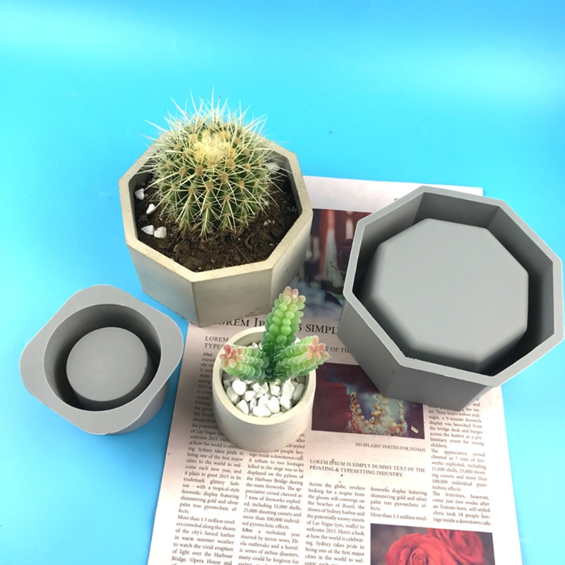 Handmade Succulent Planter Flo - огляд і ціна Echeveria Succulent
