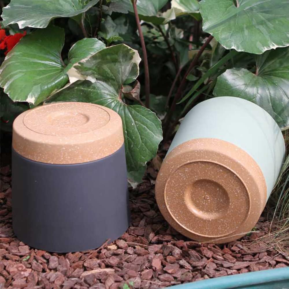Plant POTS, lightweight large  - огляд і ціна Aloe Vera Pot