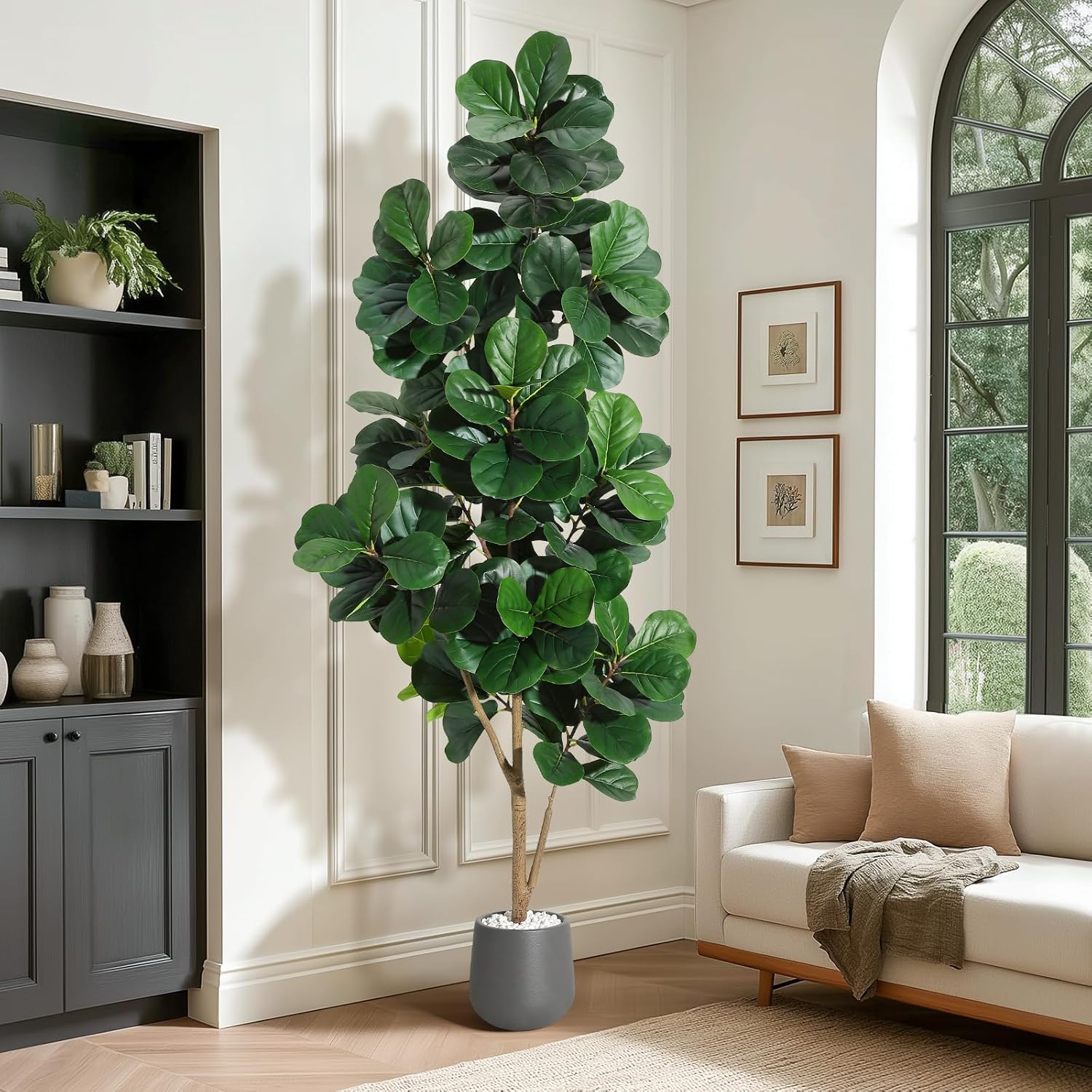 4FT/5FT/6FT/7FT Fiddle Leaf Fi - огляд і ціна Ficus Lyrata Tree