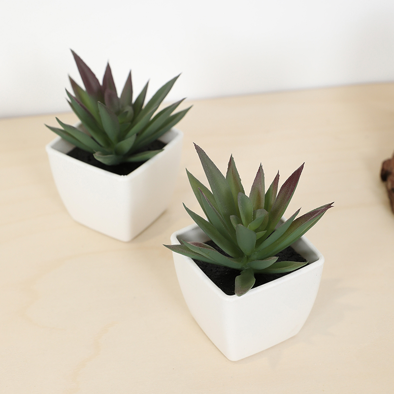 Mini Artificial Succulent Fair - огляд і ціна Echeveria Succulent