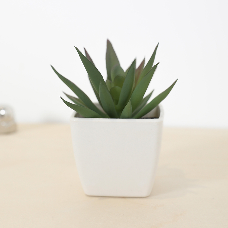 Mini Artificial Succulent Fair - огляд і ціна Echeveria Succulent