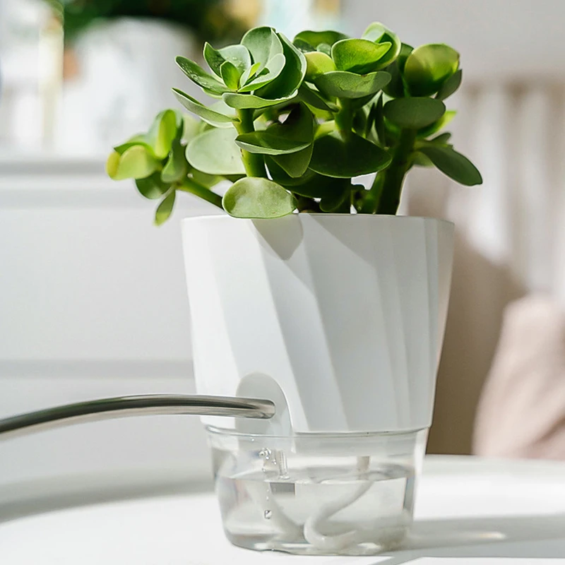 Lazy Hydroponic Flower Pot Aut - огляд і ціна Aloe Vera Pot