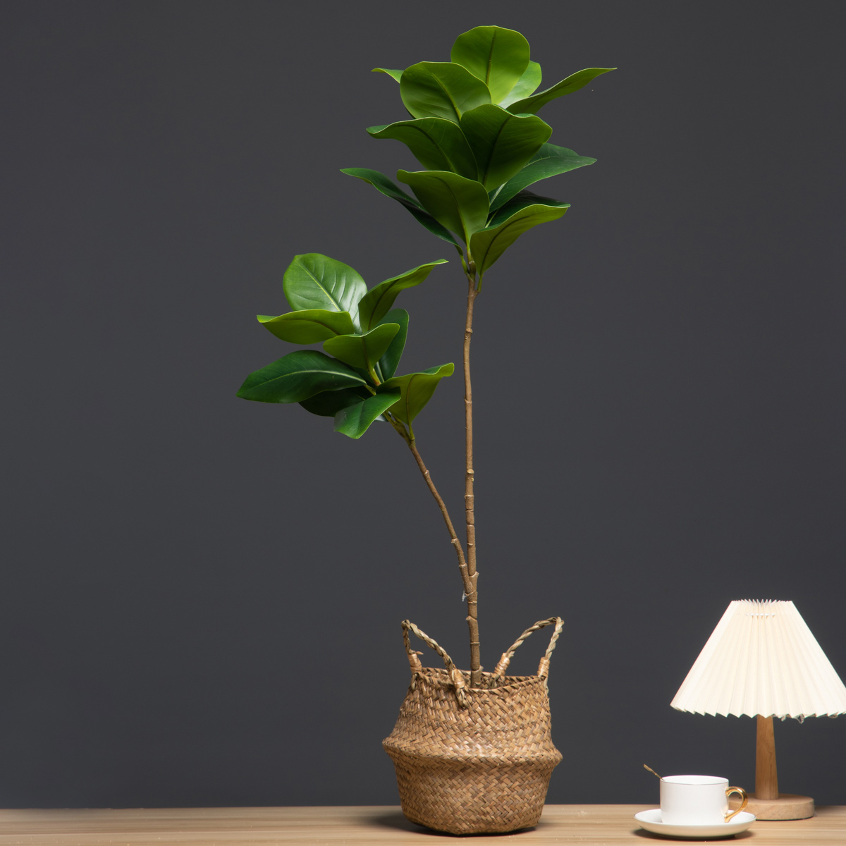 105cm 2 Forks Large Artificial - огляд і ціна Dracaena Marginata