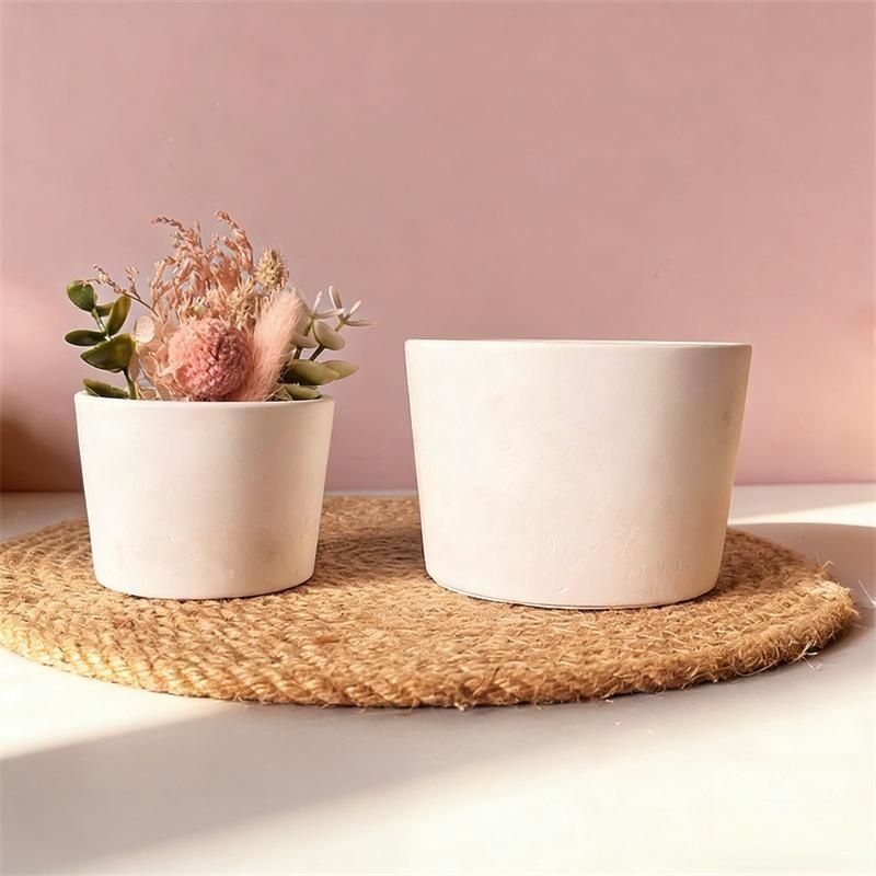 Round Plaster Vase Flowerpot C - огляд і ціна Echeveria Succulent