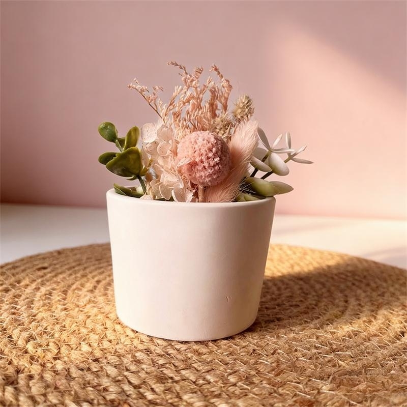 Round Plaster Vase Flowerpot C - огляд і ціна Echeveria Succulent